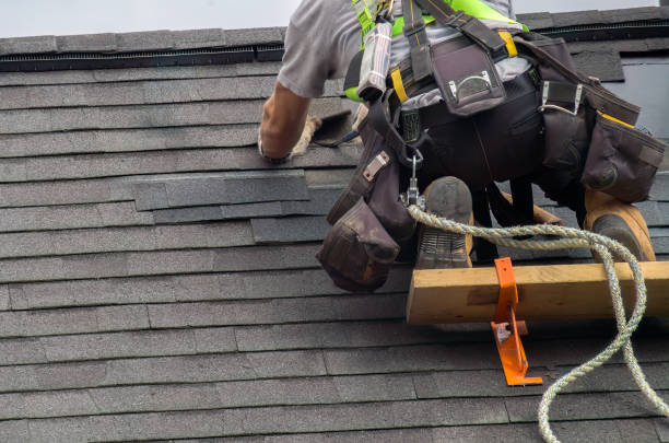 Best Storm Damage Roof Repair  in Logan Elm Village, OH
