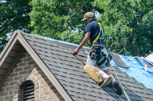 Best Best Roofing Contractors  in Logan Elm Village, OH